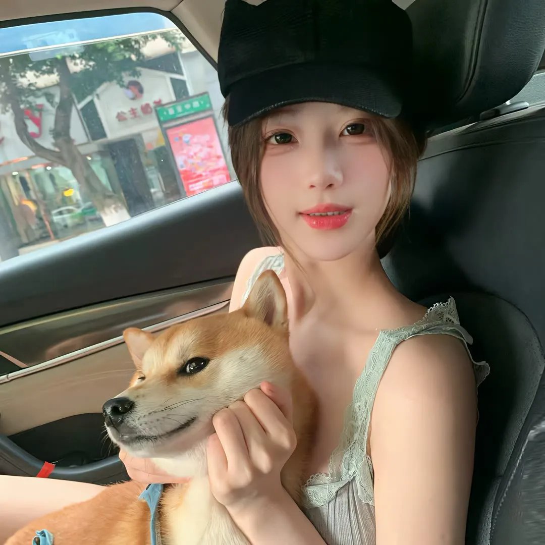 爱的着陆 第一季